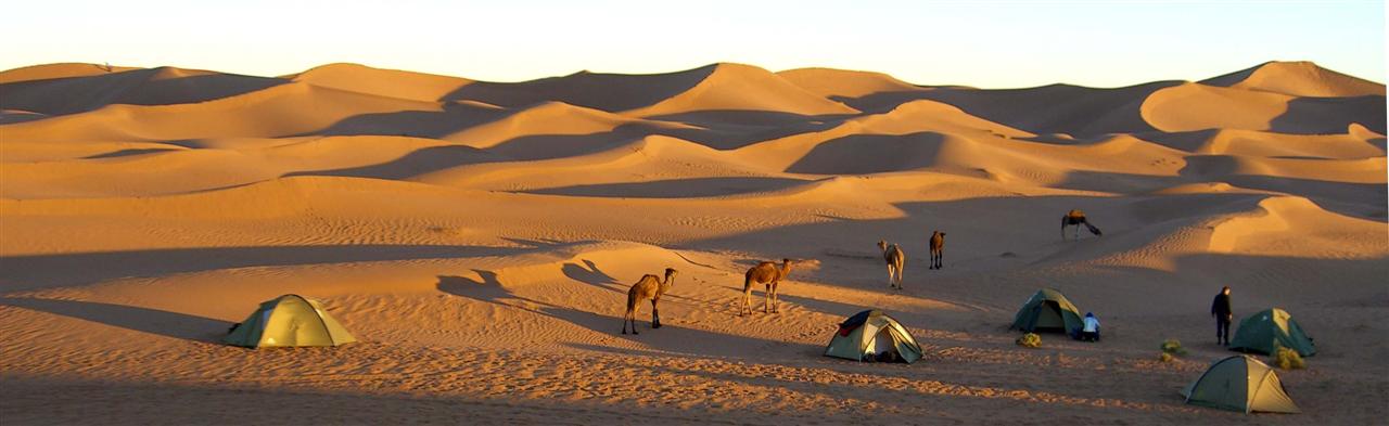 Wsten-Camp mit Kamelen